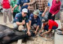 LDII Jabar Catat Kurban Bernilai Rp76 Miliar, Pengurus Diajak Gotong Royong